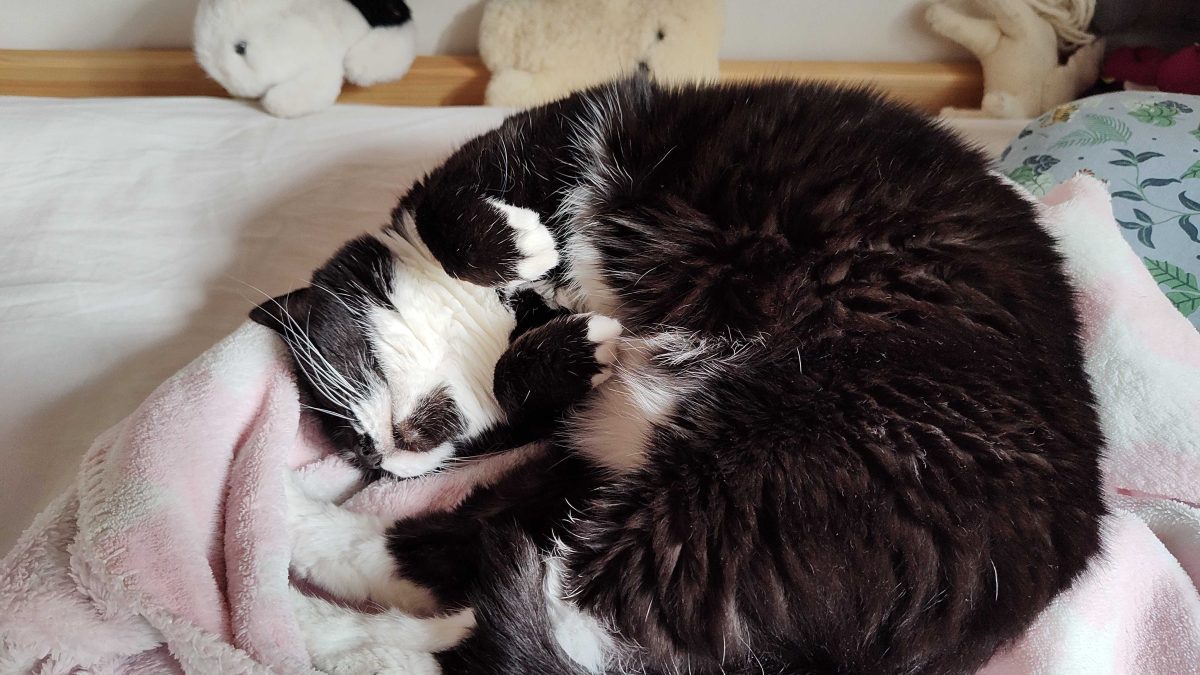 Pourquoi vous dormez mieux dans votre lit (normalement)